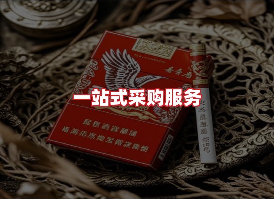 专业团队
